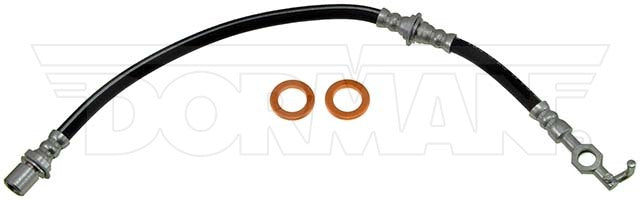 Manguera de freno Dorman P/N H38860-BX