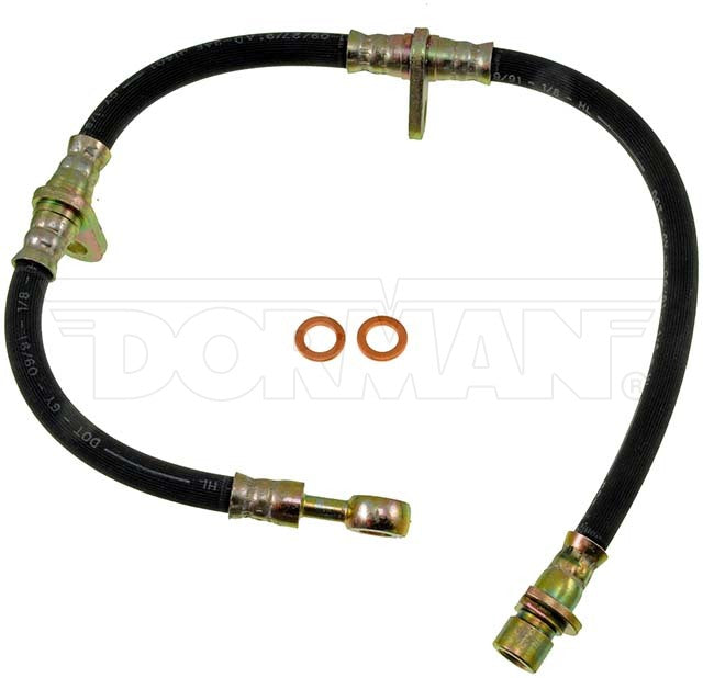 Manguera de freno Dorman P/N H38952-BX