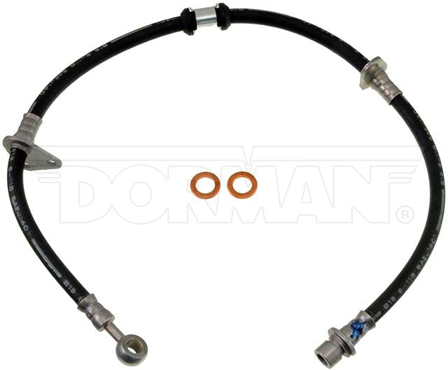 Dorman Brake Hose P/N H38955-BX