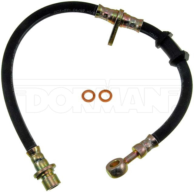 Dorman Brake Hose P/N H38957-BX