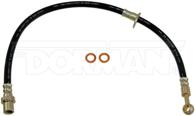 Dorman Brake Hose P/N H620088-BX