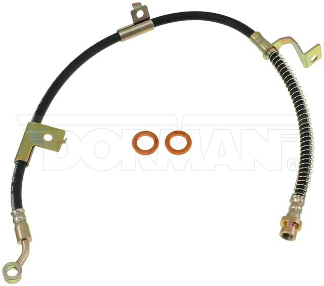 Dorman Brake Hose P/N H620194-BX
