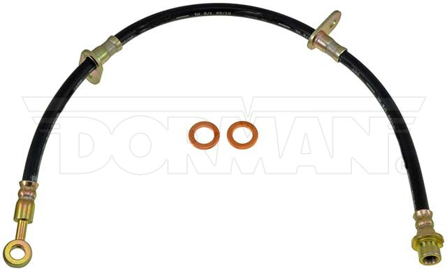 Dorman Brake Hose P/N H620389-BX