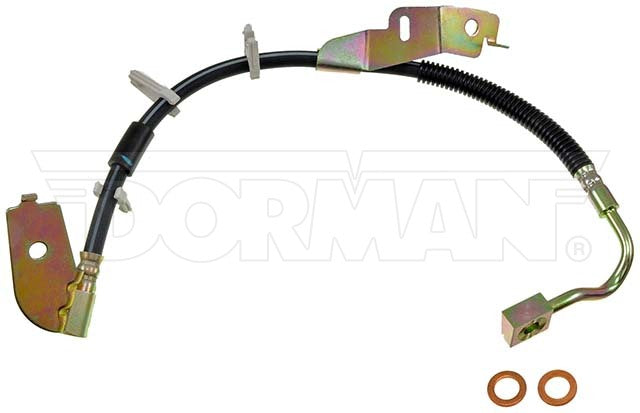 Dorman Brake Hose P/N H620491-BX