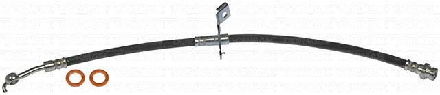 Dorman Brake Hose P/N H621773-BX