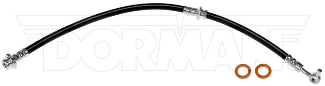 Dorman Brake Hose P/N H621967-BX