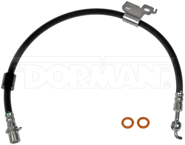 Dorman Brake Hose P/N H622040-BX