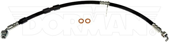 Dorman Brake Hose P/N H622205-BX
