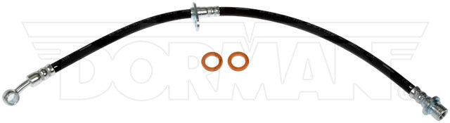 Dorman Brake Hose P/N H622305-BX