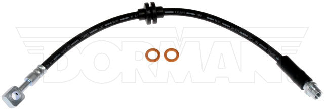 Dorman Brake Hose P/N H622431-BX