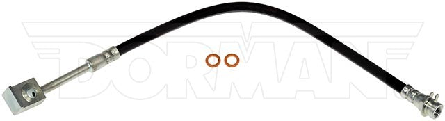Dorman Brake Hose P/N H80976-BX