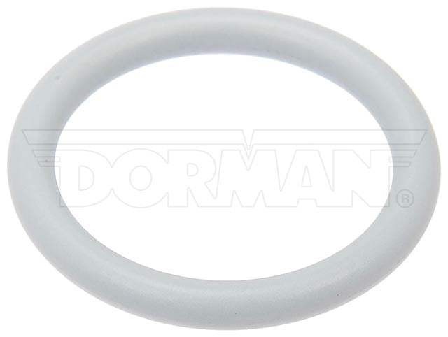 Dorman Large O-Ring P/N 030-840