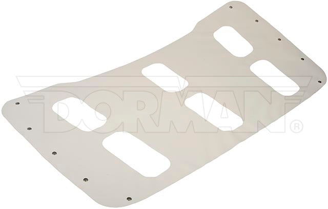 Dorman Grade Frontal P/N 242-6009