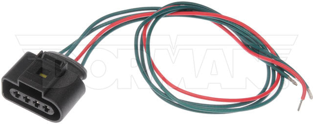 Rabo de porco Dorman P/N 645-204