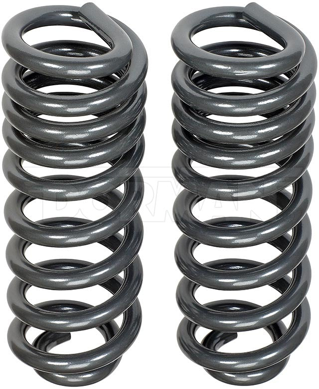 Dorman Coil Spring Set P/N 929-925