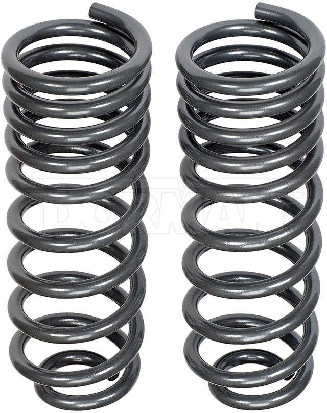 Dorman Coil Spring Set P/N 929-927